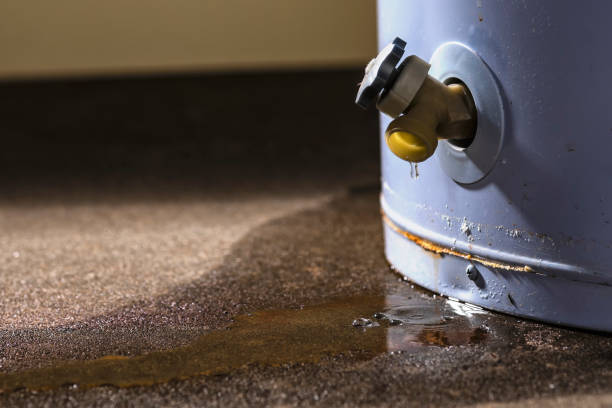 Best Local water damage restoration  in Durand, WI