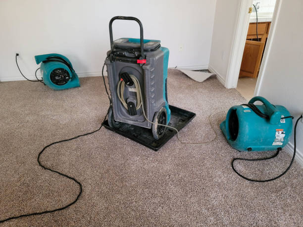 Best Water damage contractors near me  in Durand, WI