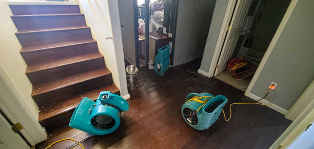 Best 24-hour water damage restoration  in Durand, WI