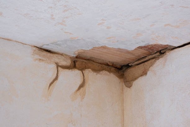 Best Fire Damage Restoration  in Durand, WI