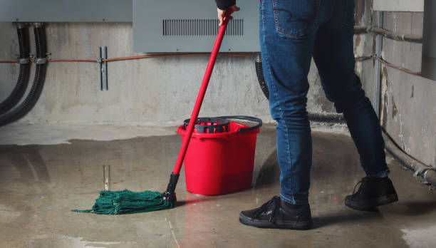 Best Carpet water damage restoration  in Durand, WI