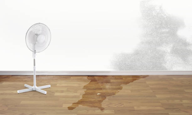 Best Water damage restoration near me  in Durand, WI