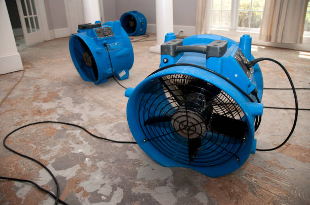 Best Residential water damage restoration  in Durand, WI