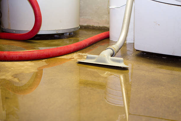 Best Flood damage cleanup  in Durand, WI