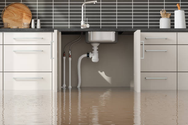 Best Professional water damage repair  in Durand, WI